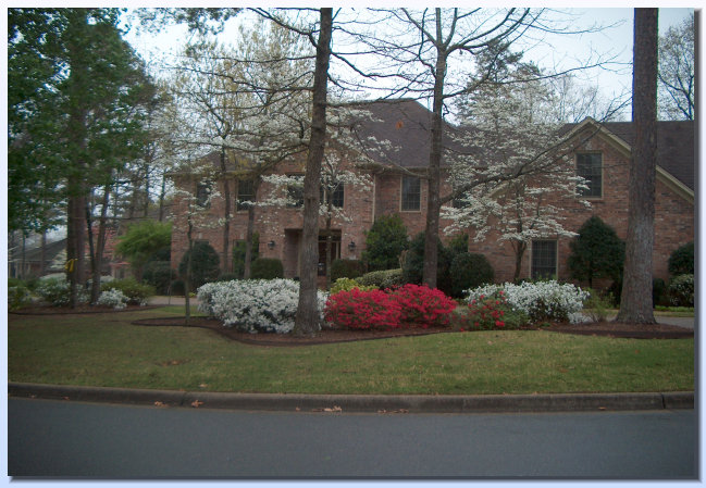 vnewsome007004.jpg