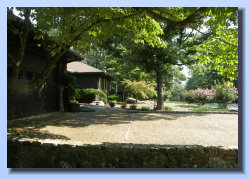 vnewsome007005.jpg